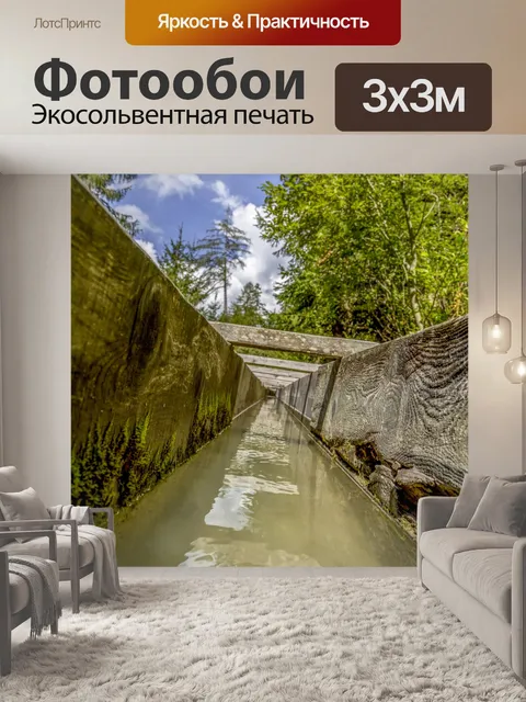 Фотообои Летний лесной путь