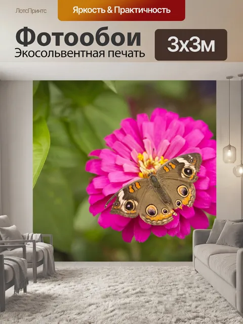 Фотообои Цветы