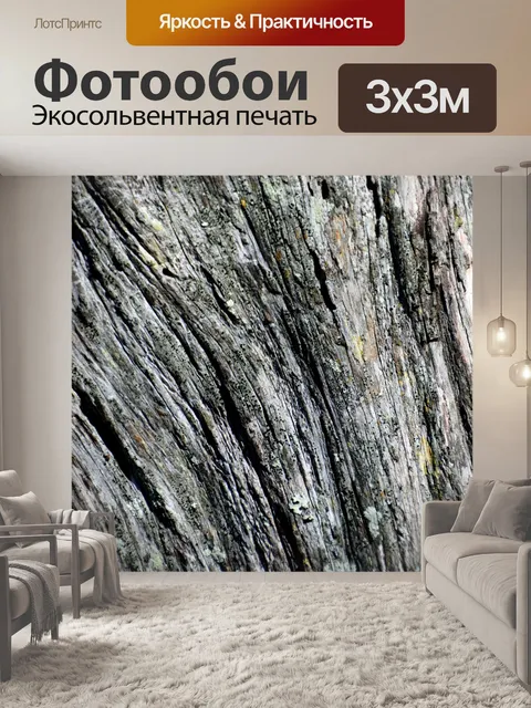 Фотообои Фон дерева коры