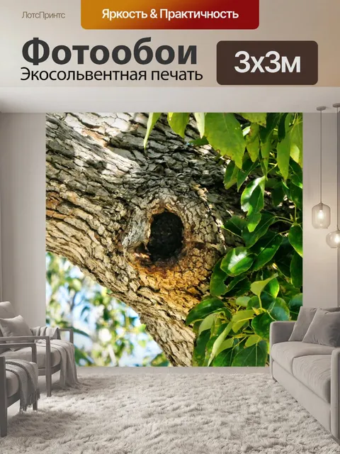 Фотообои отверстие в доске от выпавшего сучка