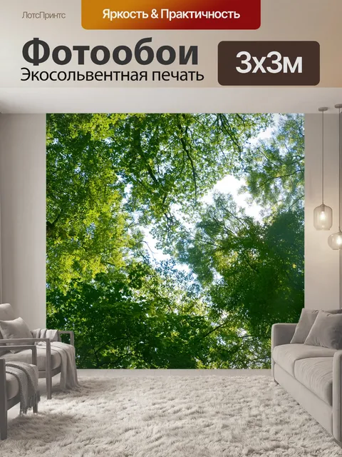 Фотообои Деревья