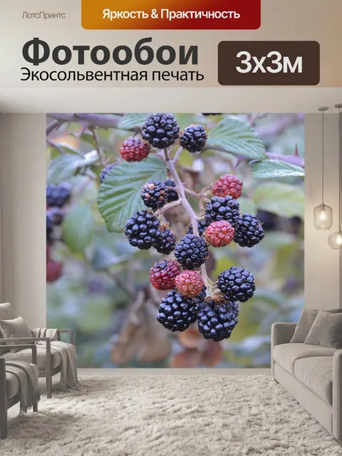 Фотообои Природа