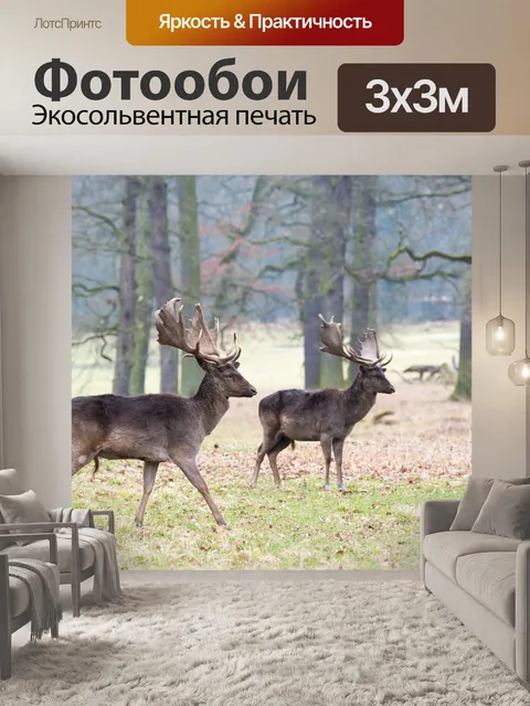 Фотообои Лань