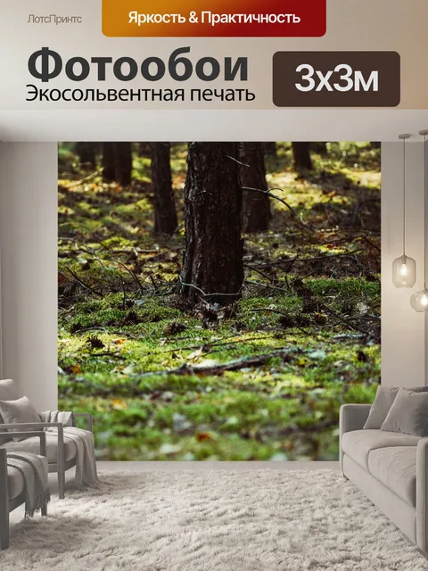 Фотообои Лес