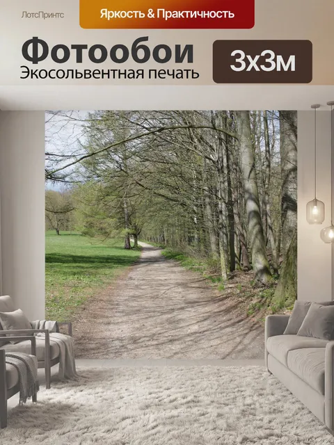 Фотообои Лес