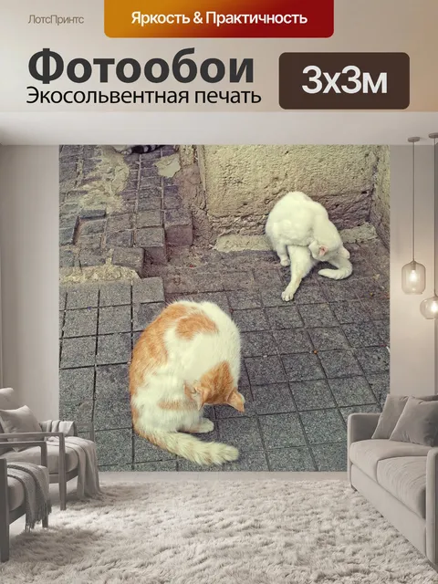 Фотообои Кошки