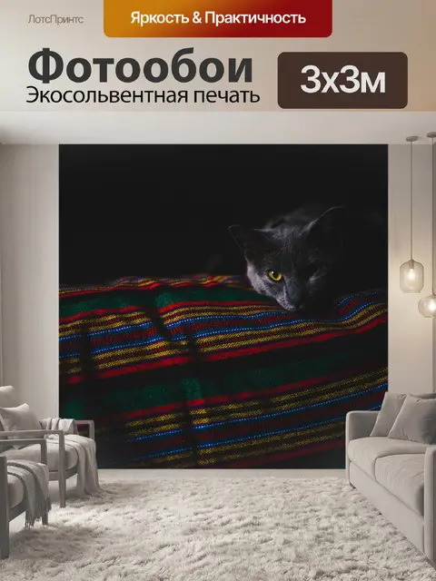 Фотообои Темный