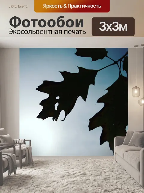 Фотообои Лист