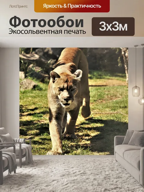 Фотообои Пума гуляет в траве крупным планом