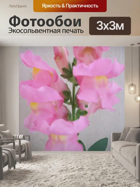 Фотообои Красивый розовый цветок