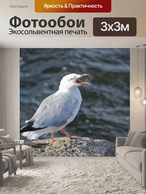 Фотообои Птица