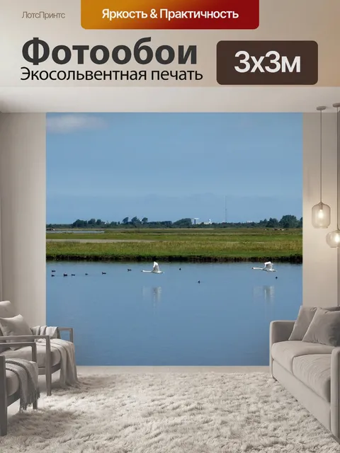Фотообои Лебеди