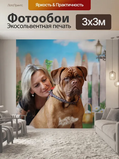Фотообои Собака