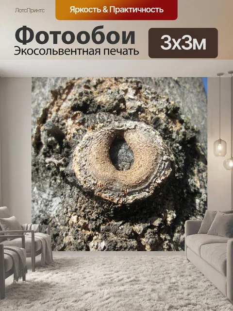Фотообои Дерево Часть Макро 30