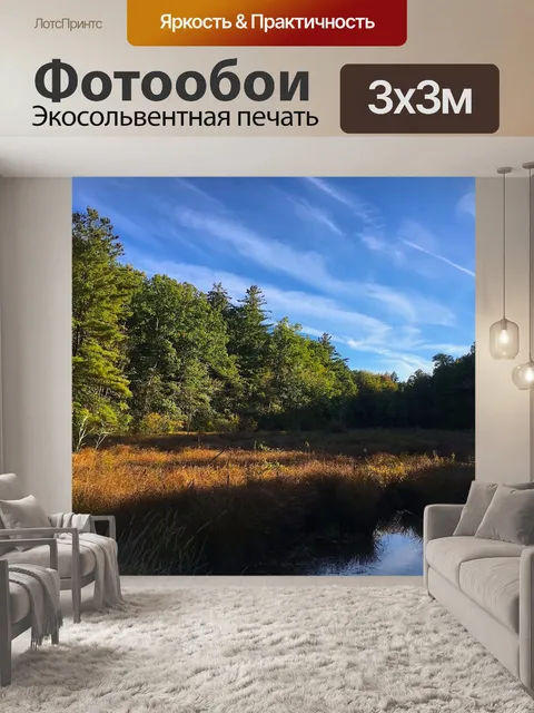 Фотообои Деревья