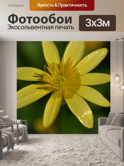 Фотообои Цветок