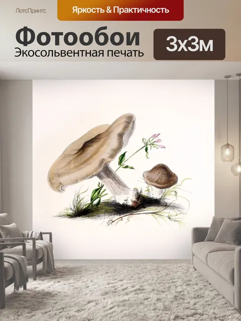 Фотообои Грибы винтаж арт старый