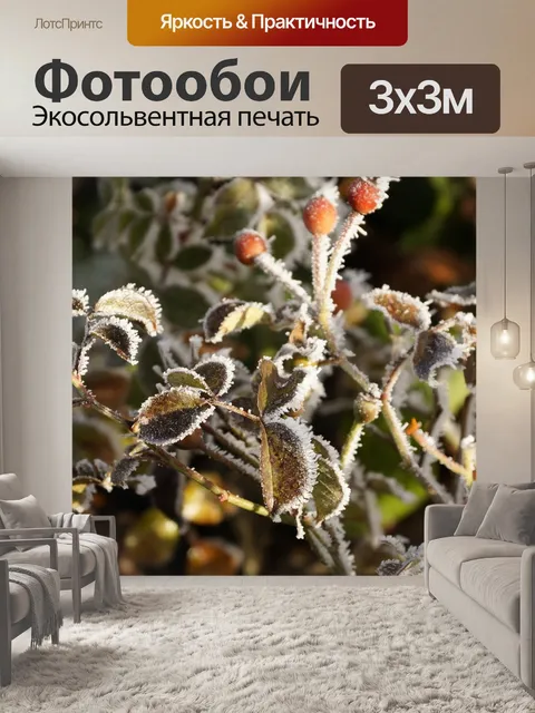 Фотообои Лист