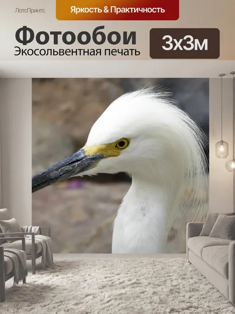Фотообои Снежная цапля