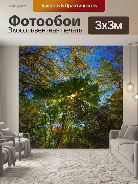 Фотообои Деревья