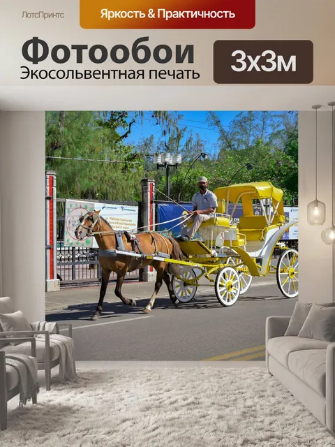 Фотообои Лошадь