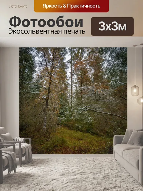 Фотообои лес с комбинированием зимних и летних деревьев, создающим уникальный пейзаж