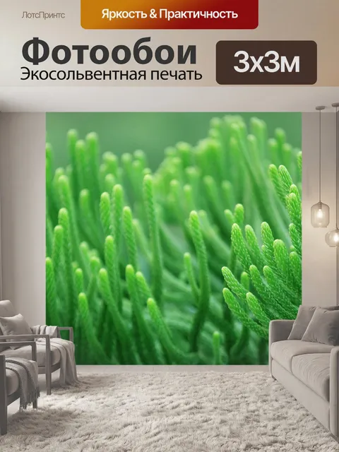 Фотообои Зеленый Длинные листья фон