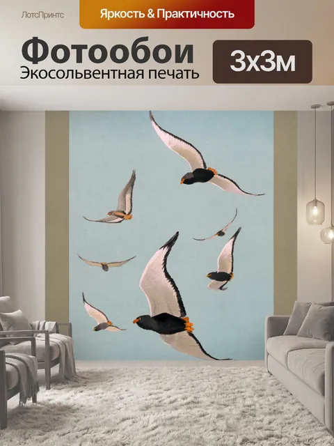 Фотообои Орлы летающие