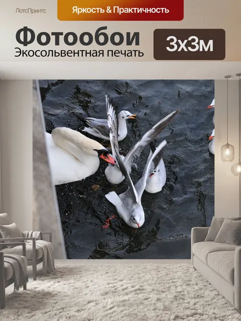 Фотообои Лебеди