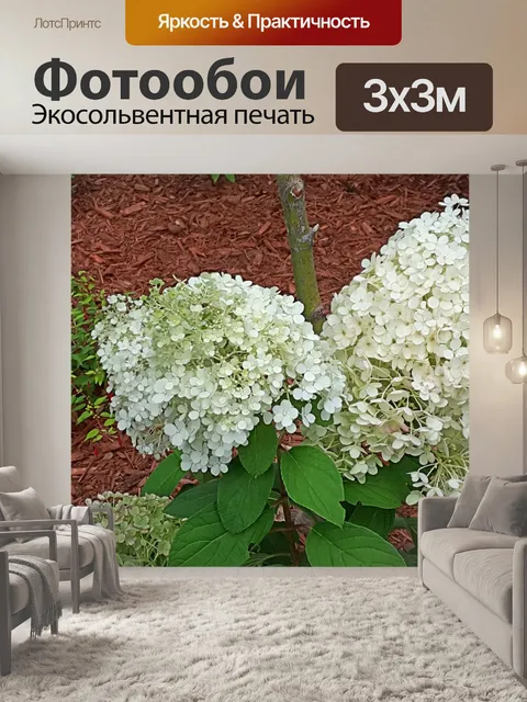 Фотообои Садовые белые цветы