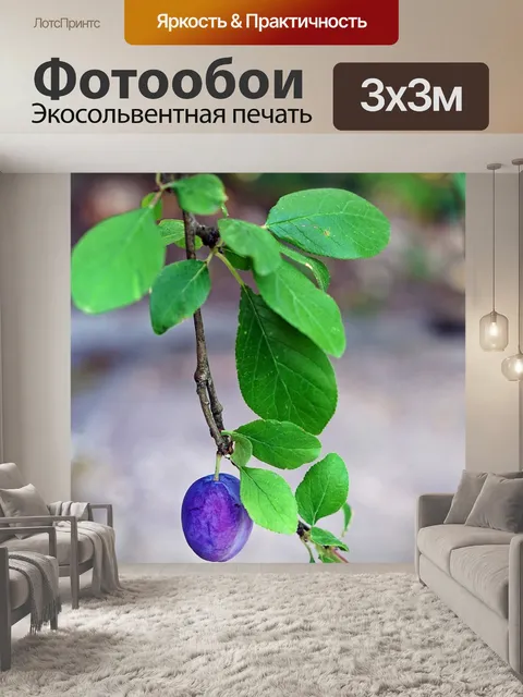 Фотообои Фрукты