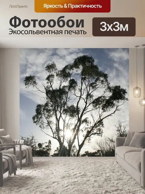 Фотообои Эвкалипт