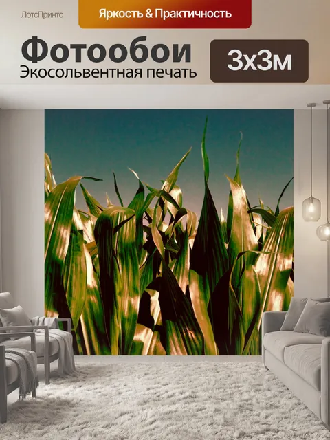 Фотообои кукурузные стебли