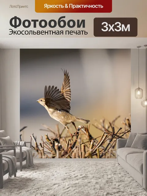 Фотообои Птица