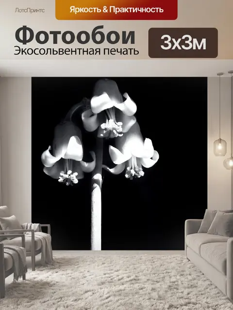 Фотообои Цветы