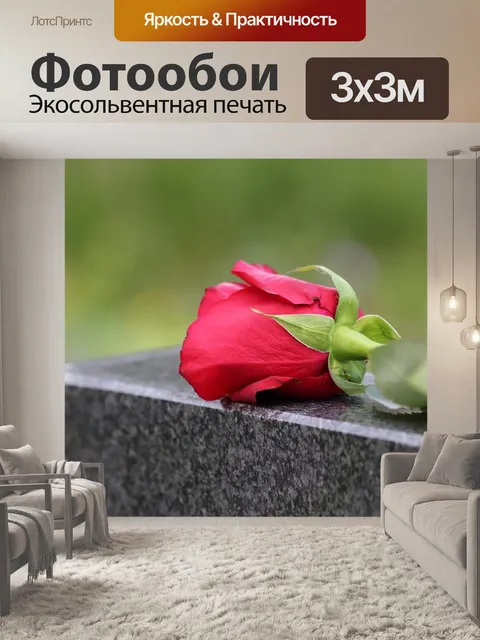 Фотообои Один красная роза