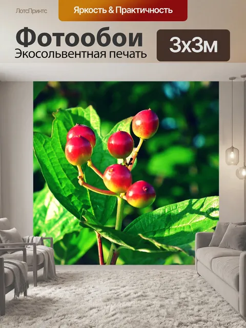 Фотообои Калина
