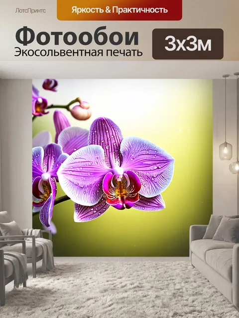 Фотообои обширный фон с мягким светом