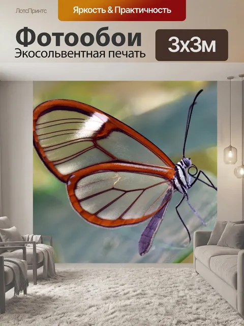 Фотообои Бабочка