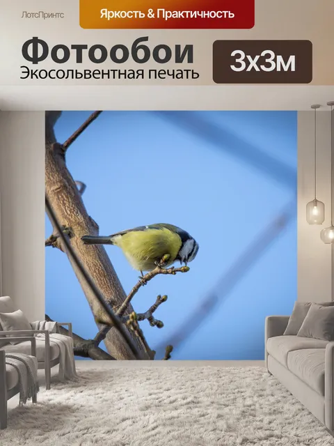 Фотообои Великая Тит