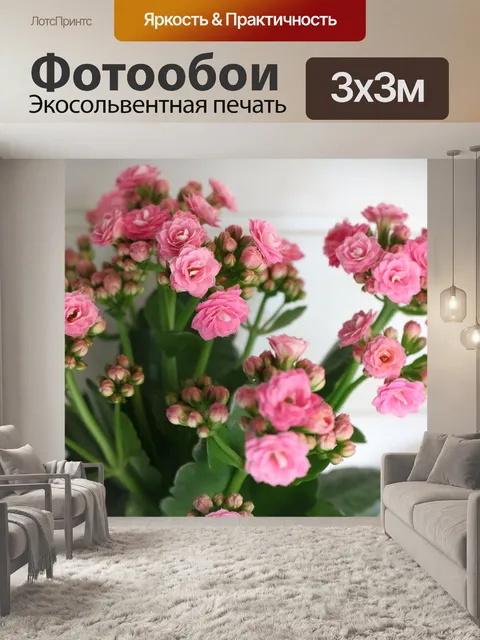 Фотообои Розы