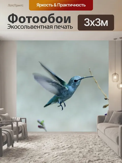 Фотообои Колибри