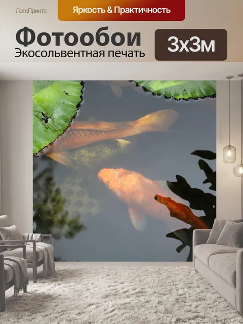 Фотообои Кои