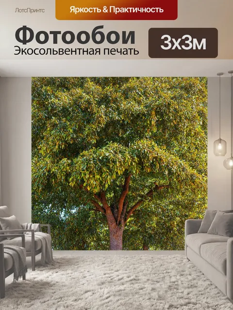 Фотообои с изображением обжаренных кофе-деревьев
