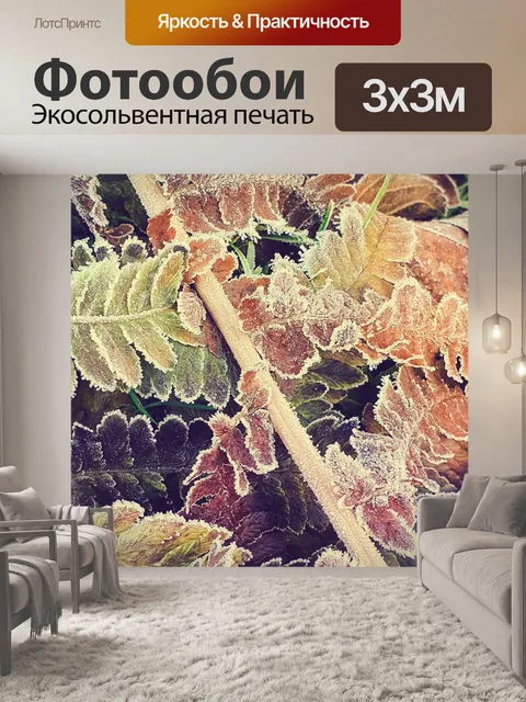 Фотообои Замороженные листья папоротника