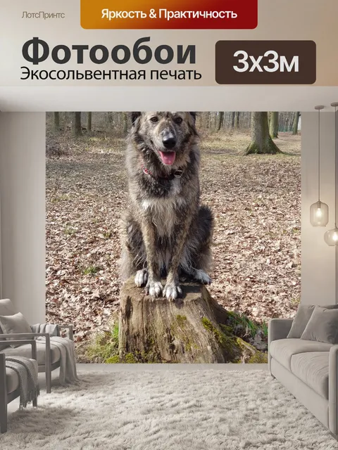 Фотообои Природа