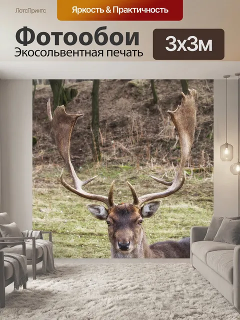 Фотообои Олень