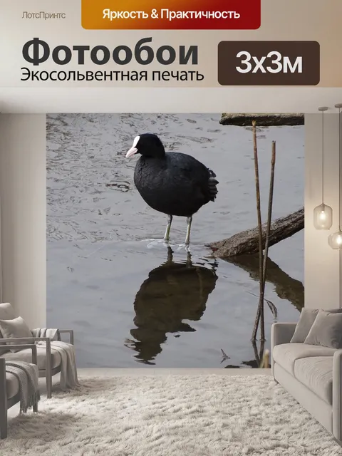 Фотообои Птица
