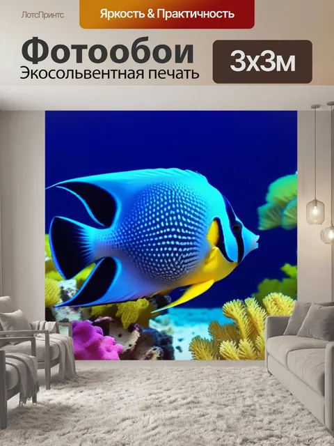 Фотообои рыбы-ангелы вблизи цветных кораллов