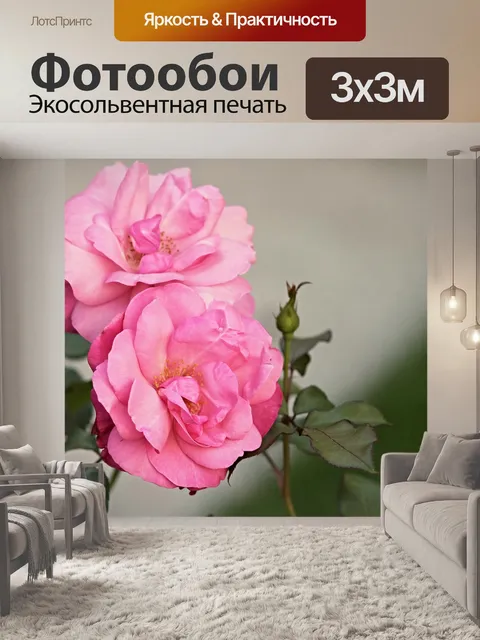 Фотообои Собачьи розы